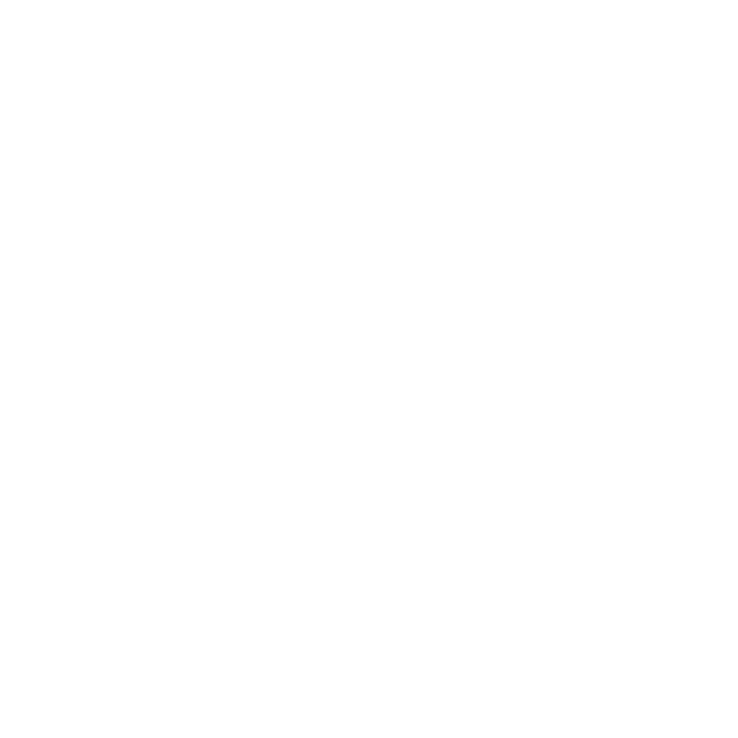 stylized house icon
